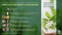 Webinar “Constituição, meio ambiente e sustentabilidade”