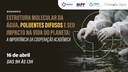 Webinário "Estrutura molecular da água, poluentes difusos e seu impacto na vida do planeta: a importância da cooperação acadêmica"