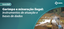 Garimpo ilegal_ebanner.png