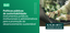 Políticas públicas-e-banner.png