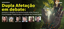 dupla-afetacao-debate_ebanner_materia.png