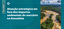 Atuação estratégica em face dos impactos ambientais_e-banner.png