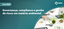 Governança, compliance e gestão_ebanner.png