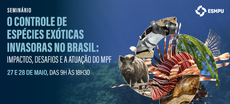Ilustração