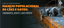 manejo-caes-gatose-banner.png