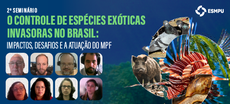 Ilustração