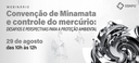 convencao-minamata_ebanner.png