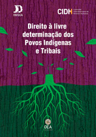 Capa relatório CIDH