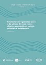 Volume 7 - Relatório sobre pessoas trans e de gênero diverso e seus direitos econômicos, sociais, culturais e ambientais
