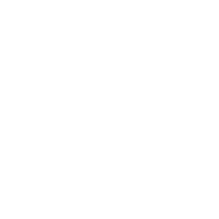 transparencia-execucao-orcamentaria-e-financeira-branco.png